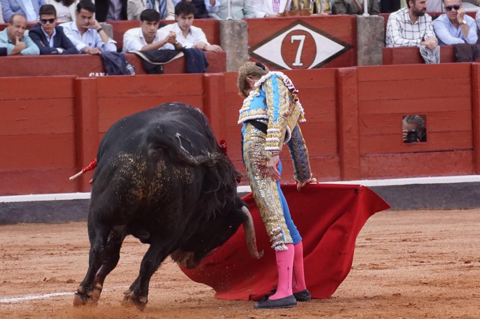 corrida-concurso-momentos-mas-destacados-del-ultimo-festejo-de-abono-de-la-feria-taurina-virgen-de-la-vega-2024-fotos-carlos-h-g-y-juanes-9
