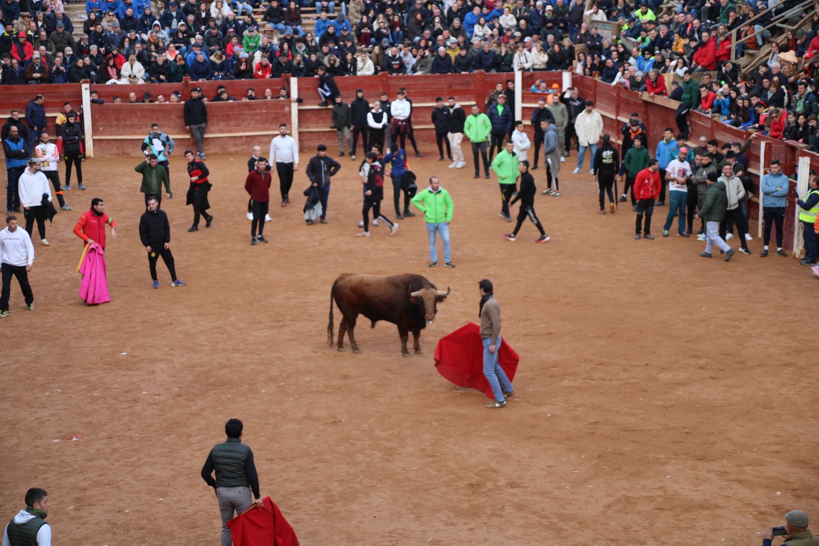 Toro del aguardiente en la mañana de martes del Carnaval del Toro 2026