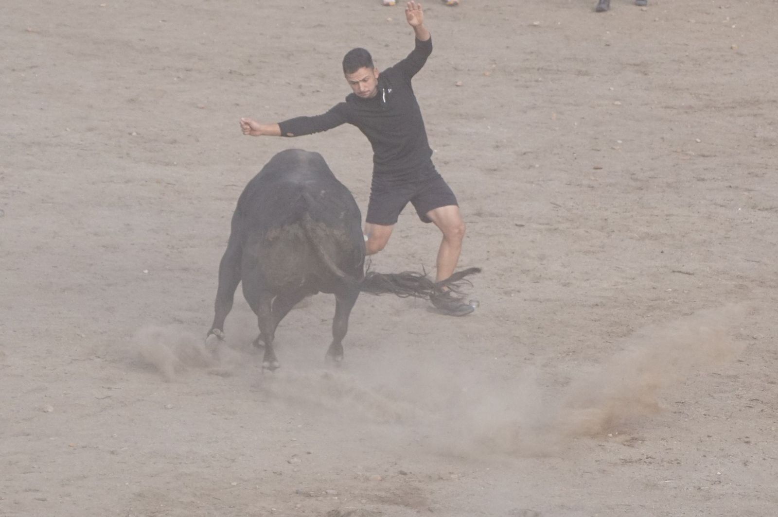 Carreras, risas y tradición: así se ha vivido El Toro en Santa Marta