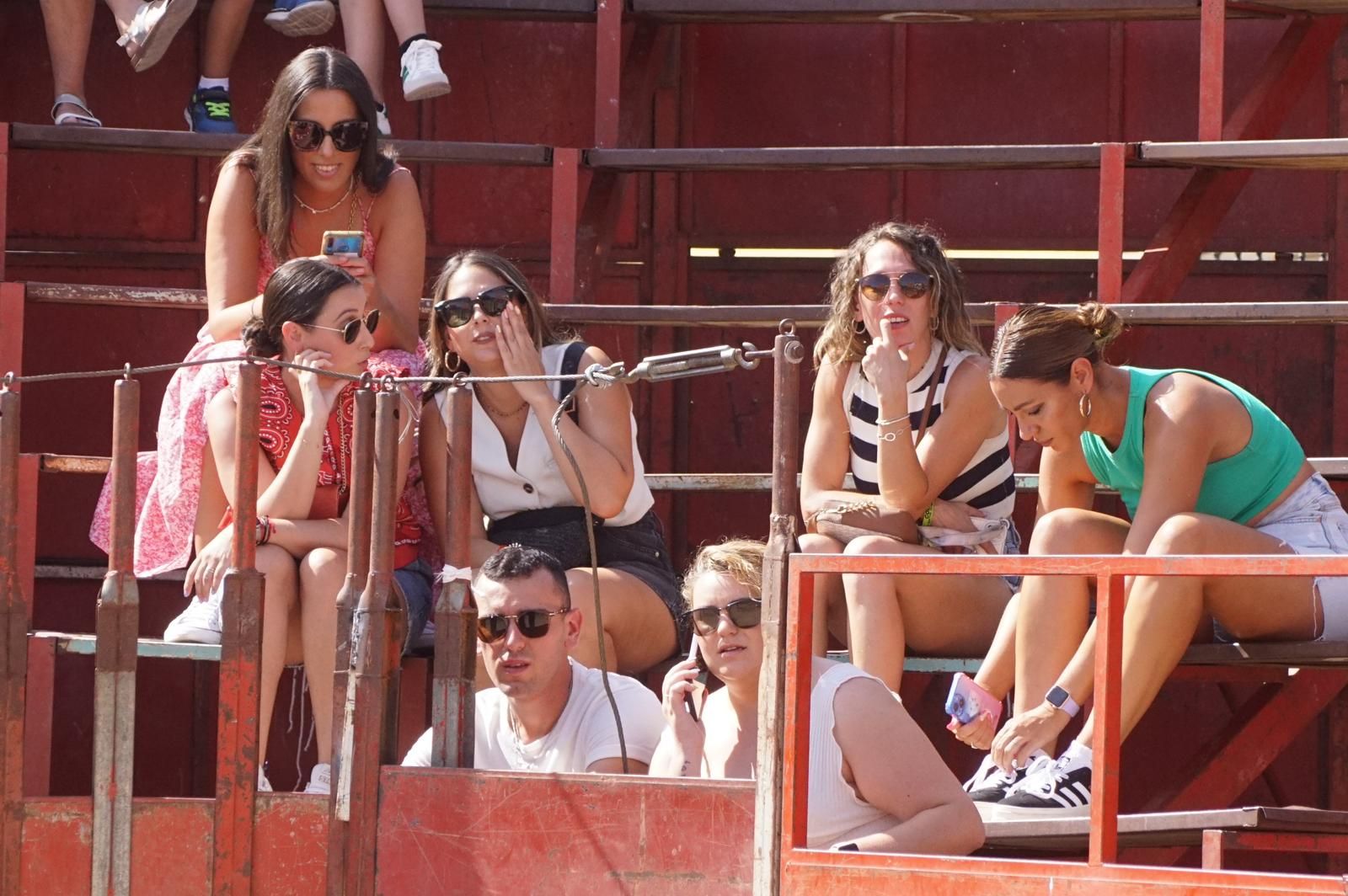 toro-de-cajon-de-castrillo-de-la-guarena-fotos-juanes-33