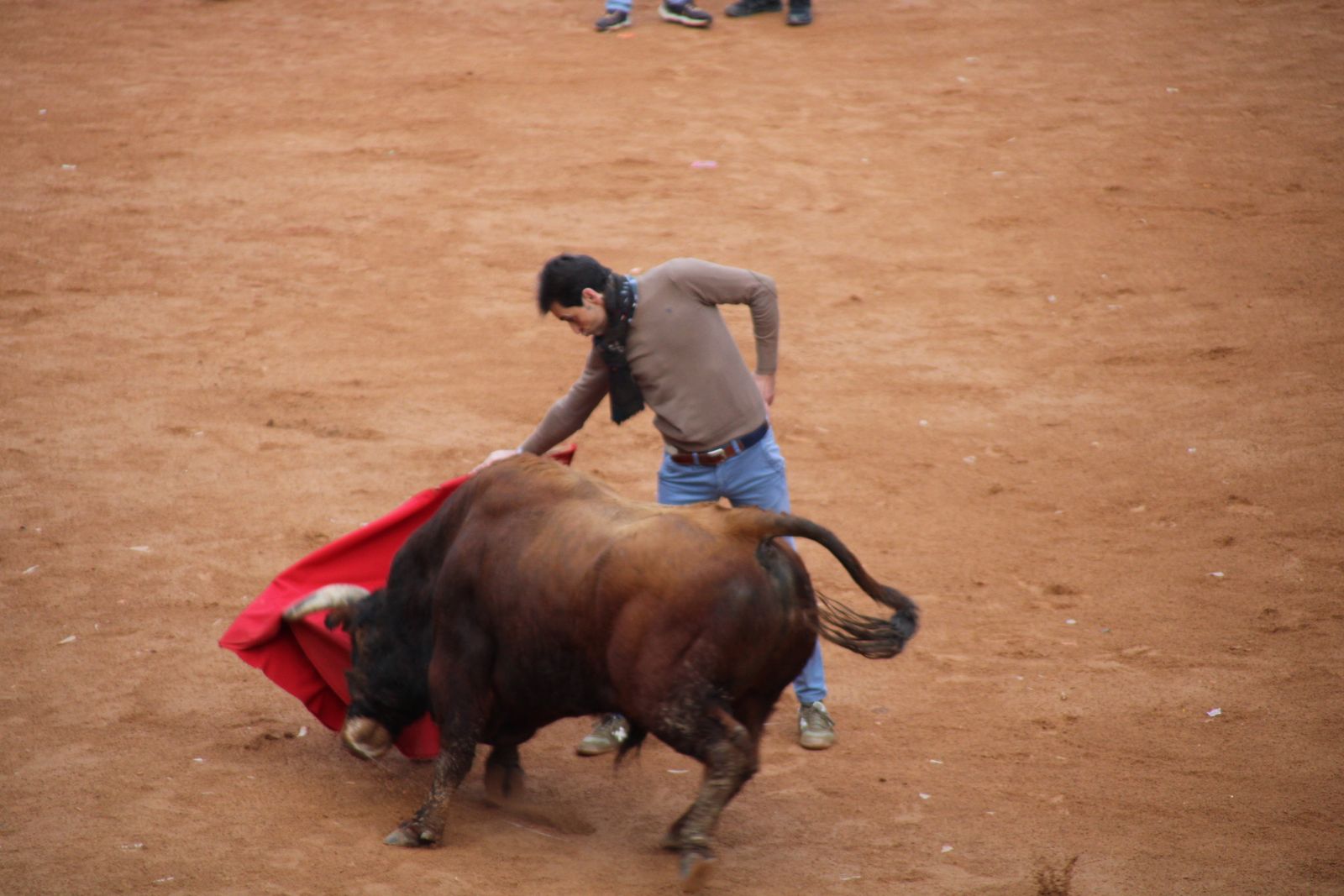 Toro del aguardiente en la mañana de martes del Carnaval del Toro 2026