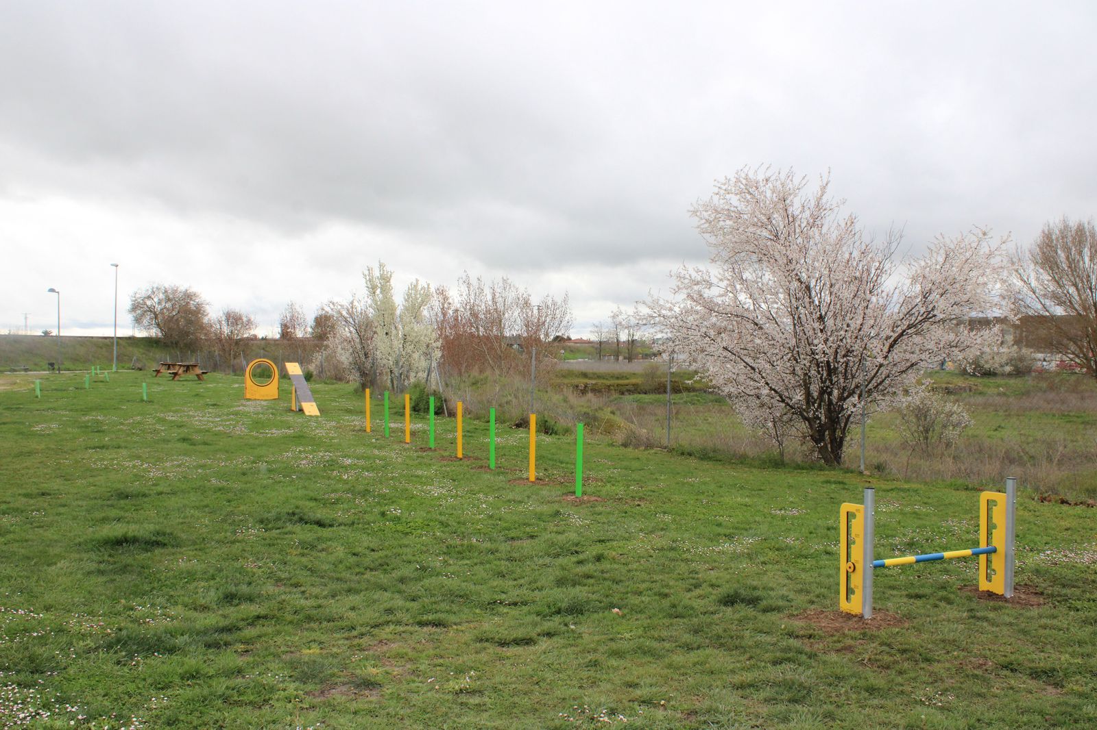 Los perros de Pinilla ahora tienen su propio gimnasio