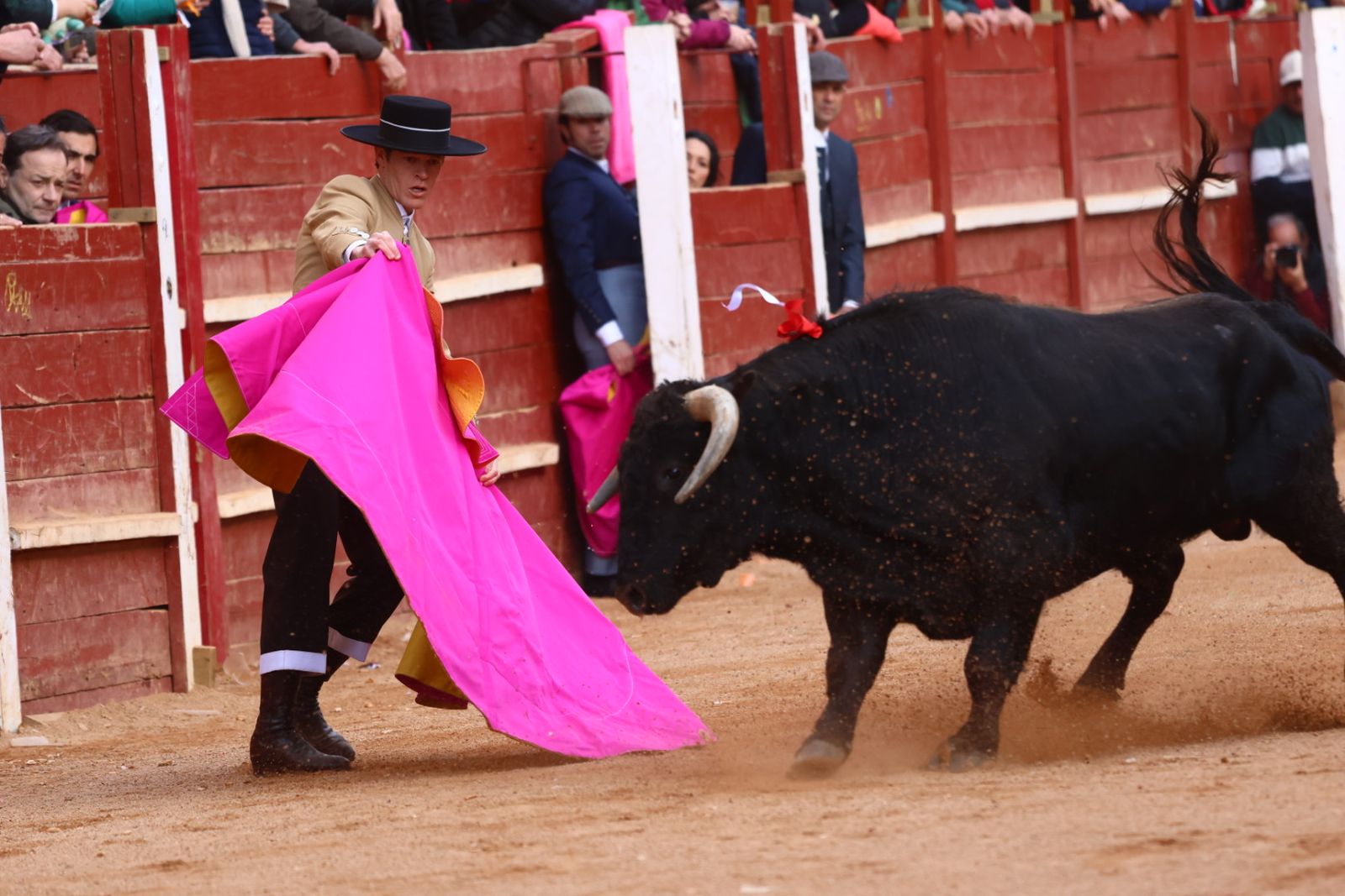 Festival del martes en el Carnaval del Toro 2026