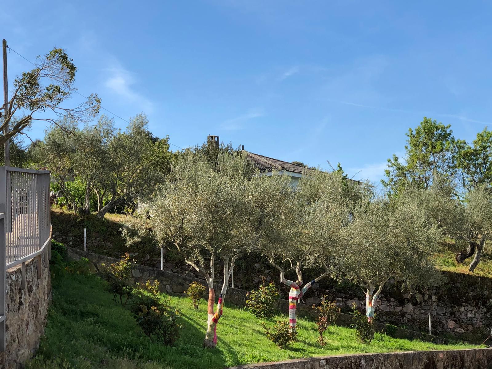 XXVII Ruta de Senderismo de Mieza (50)