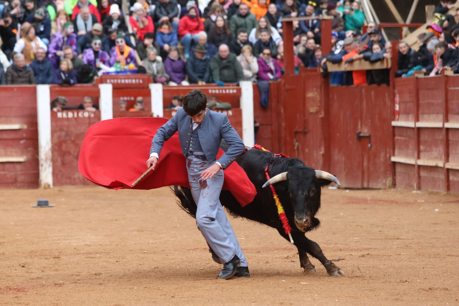 Novillada sin picadores del bolsín taurino y rejones en Ciudad Rodrigo