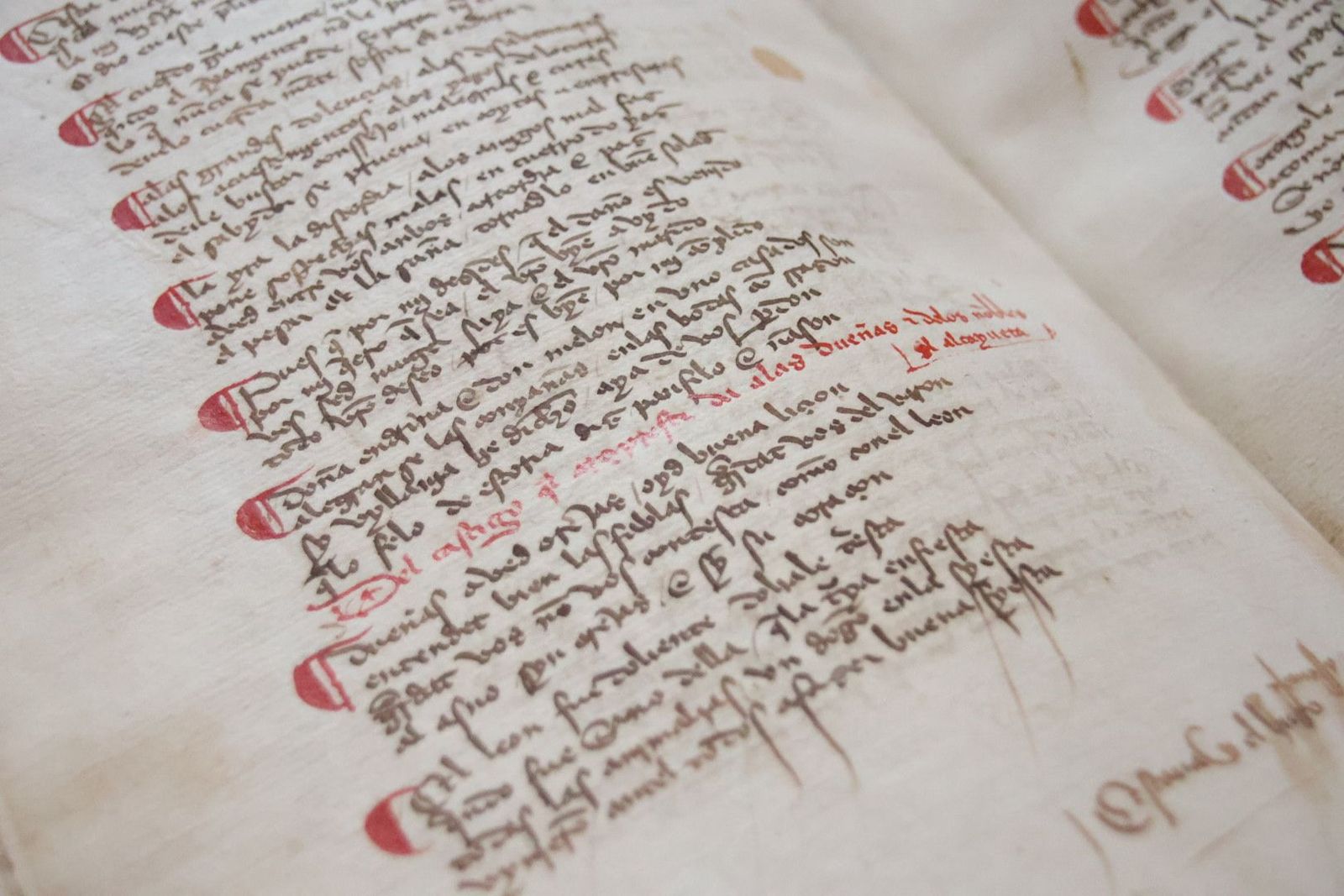 20231005112354-img-1340