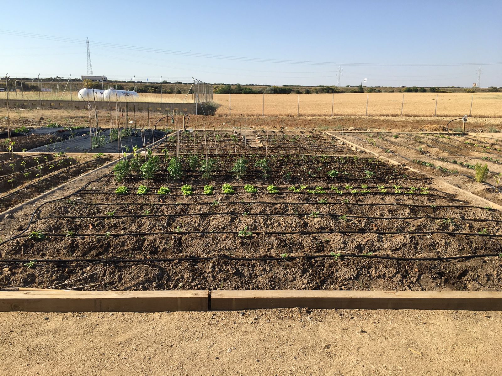 Huertos familiares Castellanos de Moriscos
