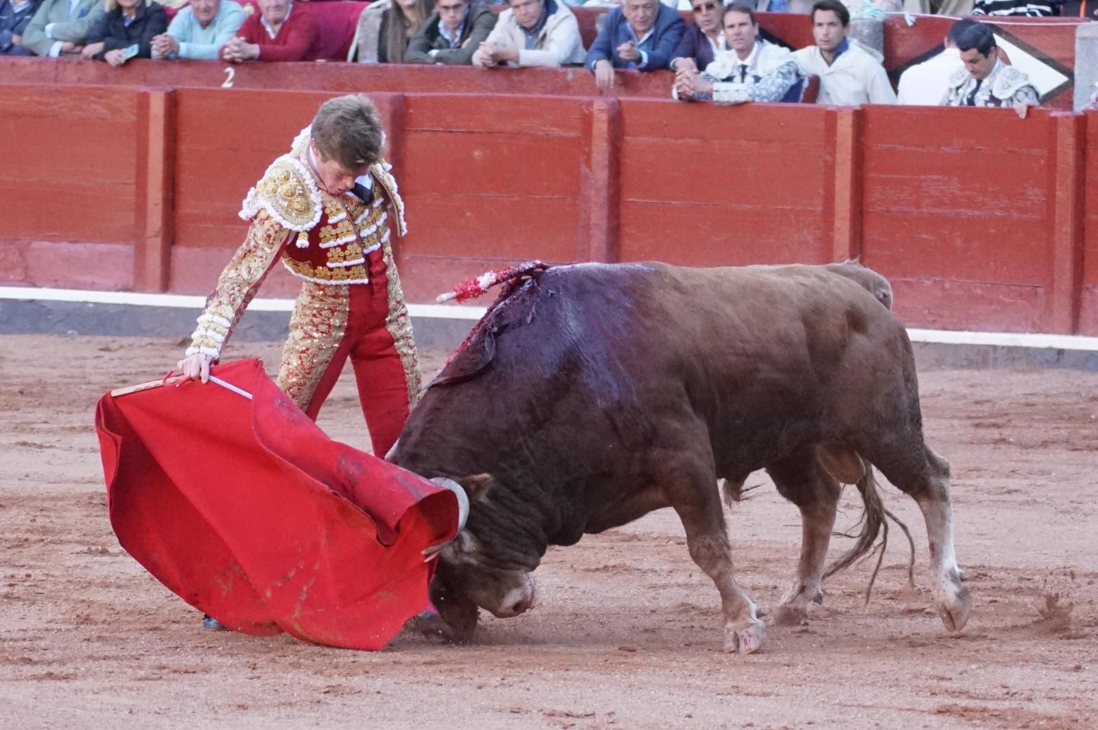La corrida concurso para despedir la feria con Morante, Talavante y Borja Jiménez: imágenes de los mejores momentos en La Glorieta