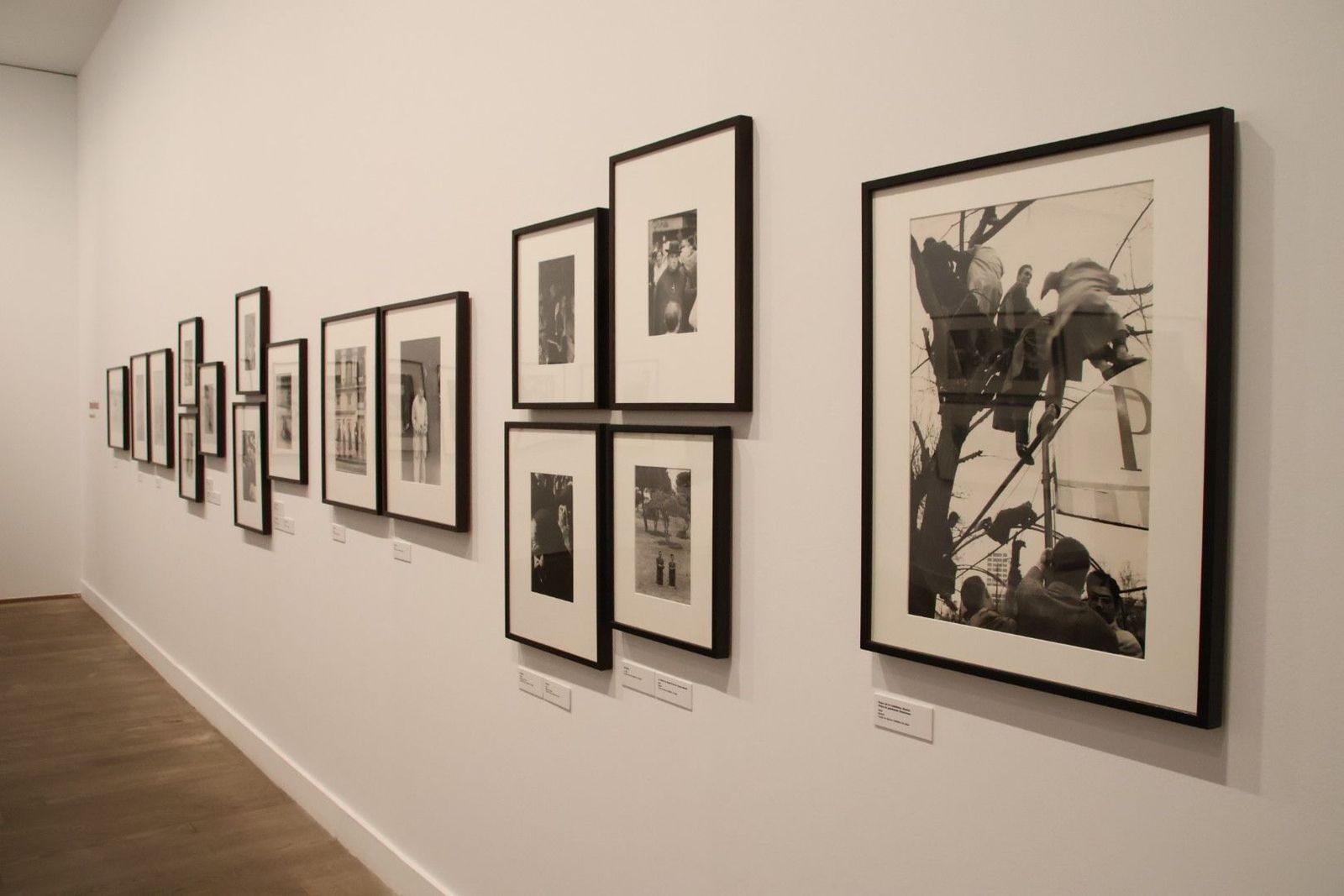 20230921100434-img-7238