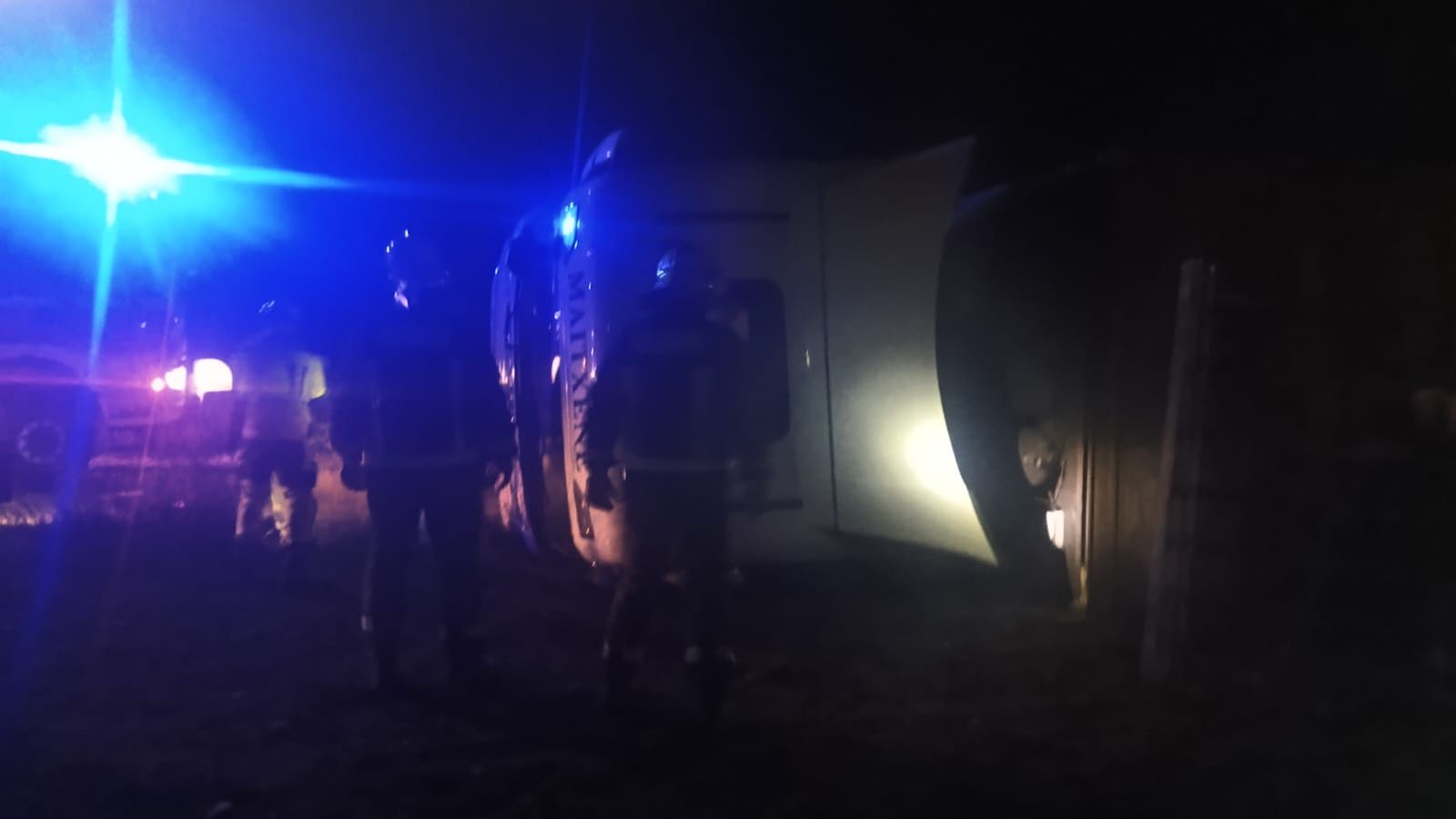 Vuelca un camión cargado de ganado en la SA-114 y deja varios animales muertos