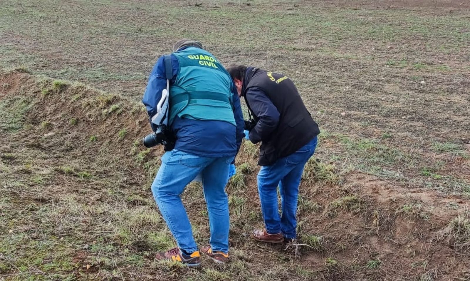 Continúa la investigación en Roales tras la muerte de una joven atacada por una jauría de perros