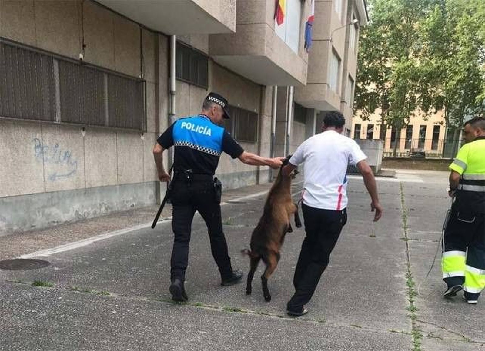 1561995116690cabra980 955x693dn