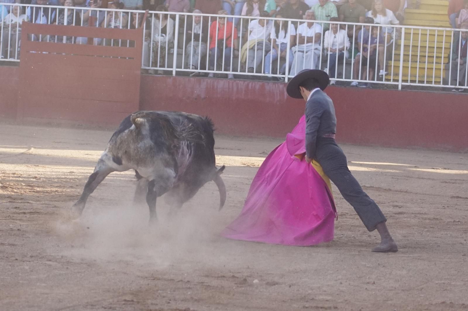 whatsapp-image-2024-09-07-at-20-48-35-4