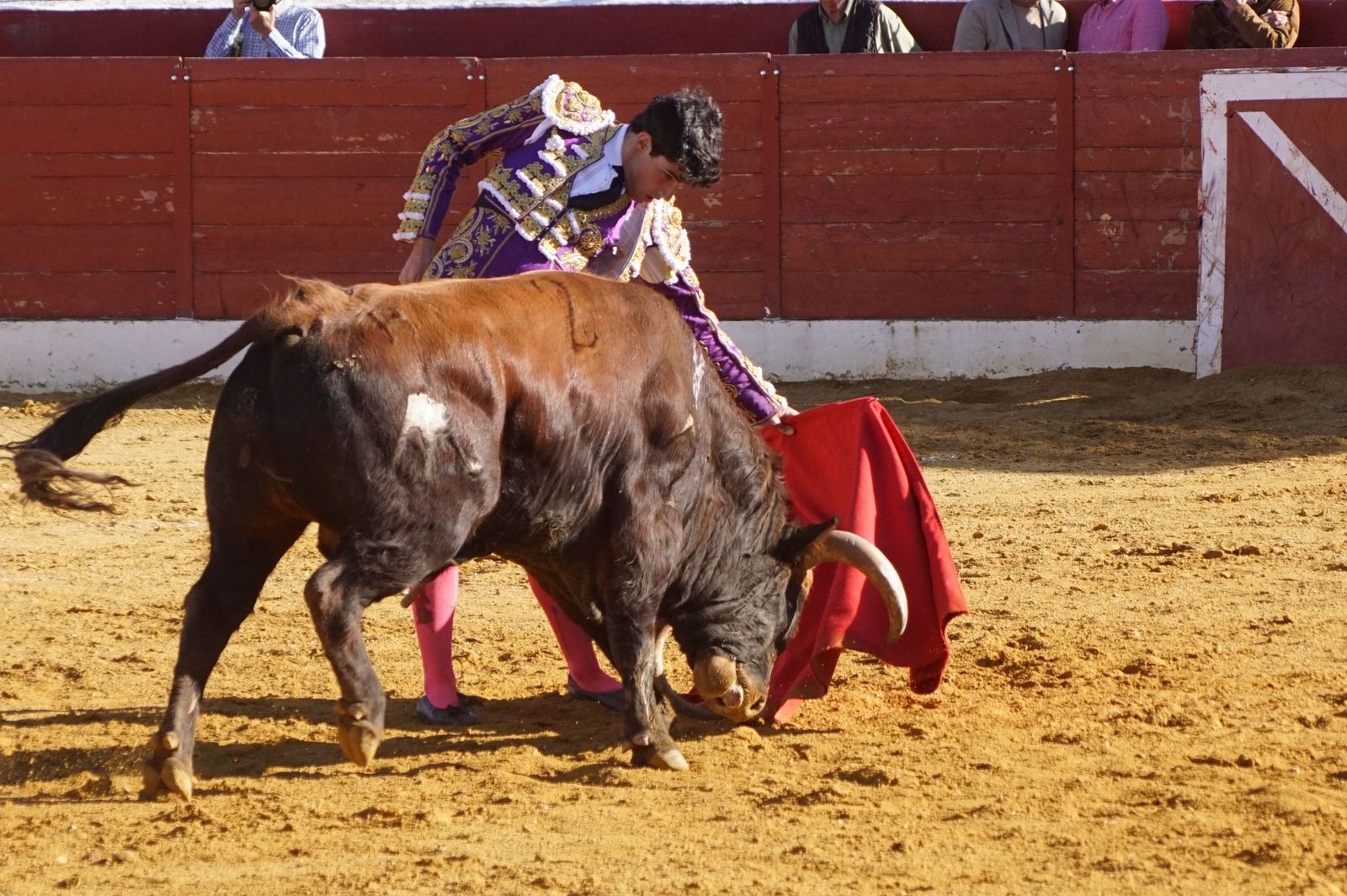 novillada-con-picadores-en-villoria-62