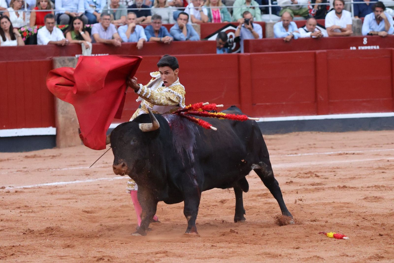 20230910192023-img-2283