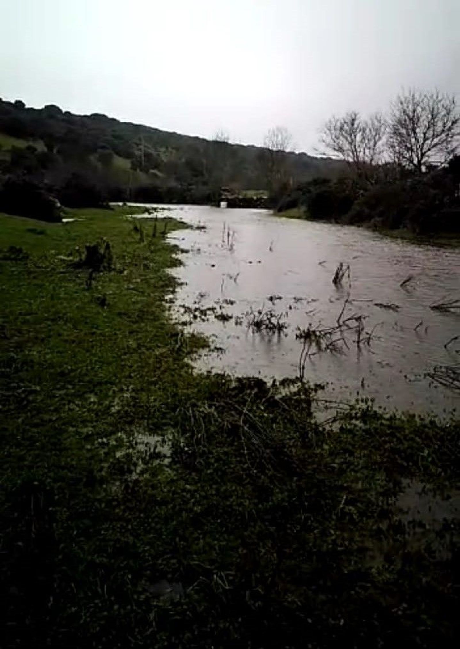 arroyo de los Mendigos desde Pedrosillo