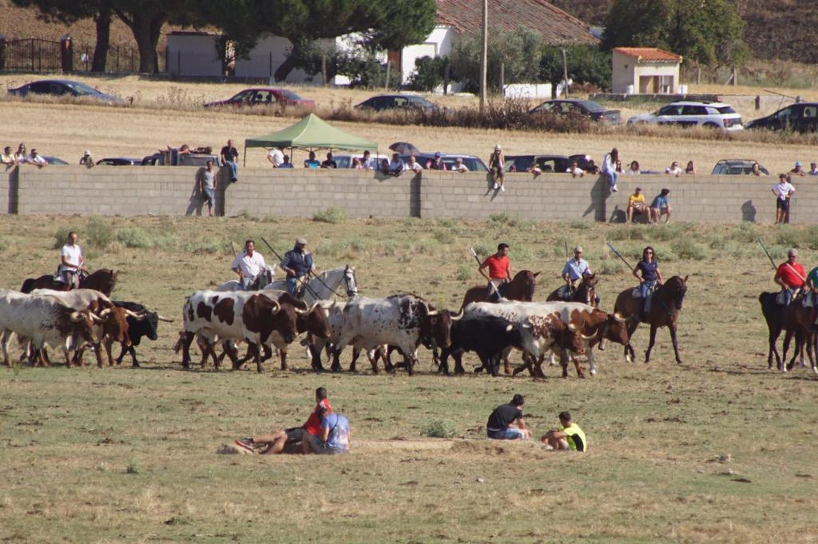 espantes-de-fuentesauco-28