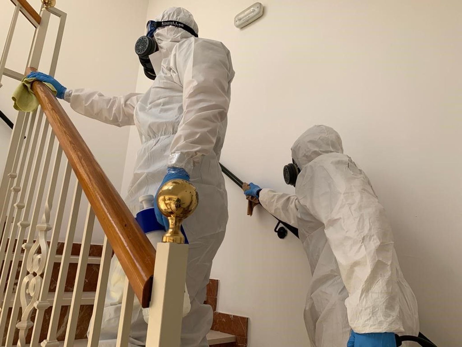 WhatsApp Image 2020 05 19 at 10.04.42