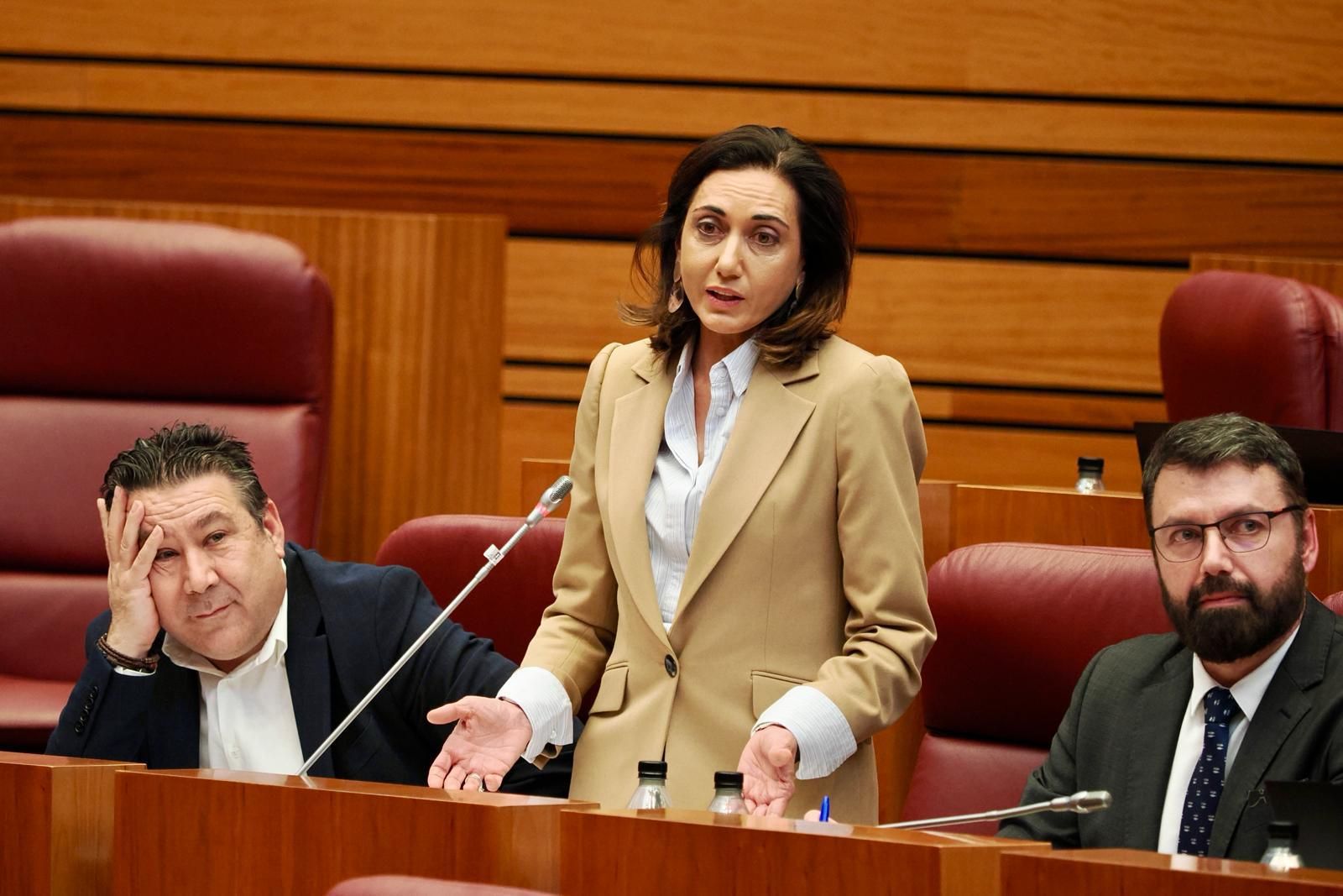 La procuradora de Unión del Pueblo Leonés (UPL), Alicia Gallego.