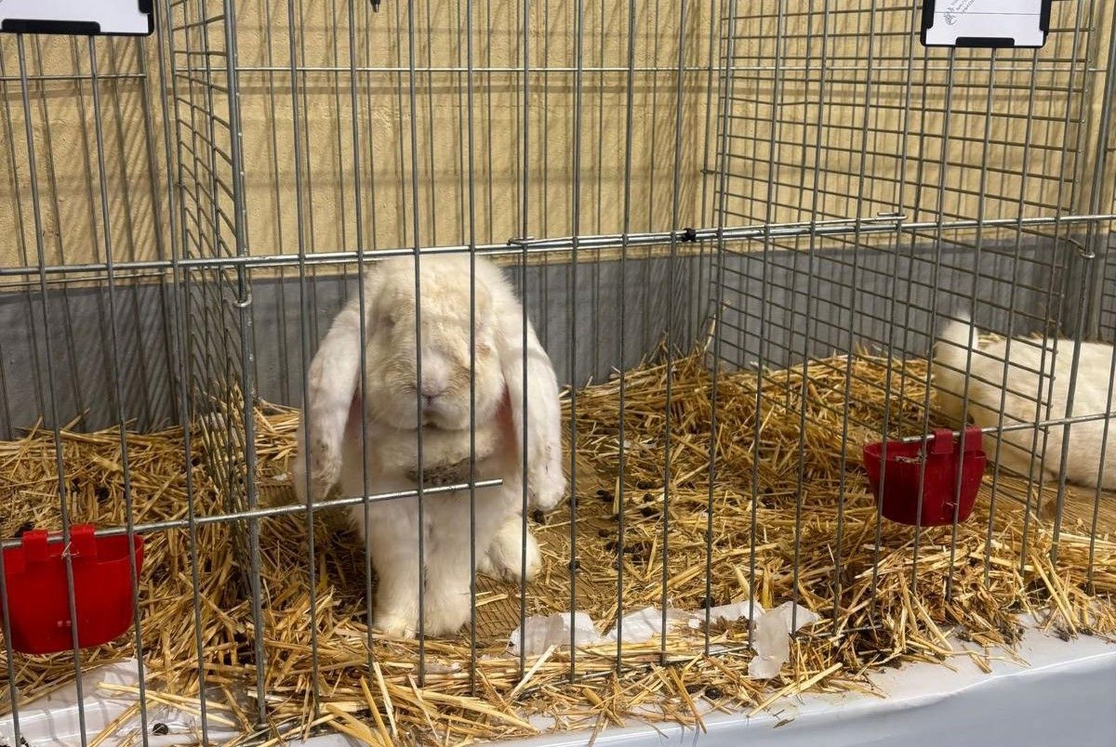 bb3de326-340d-4477-baca-f885e4713532