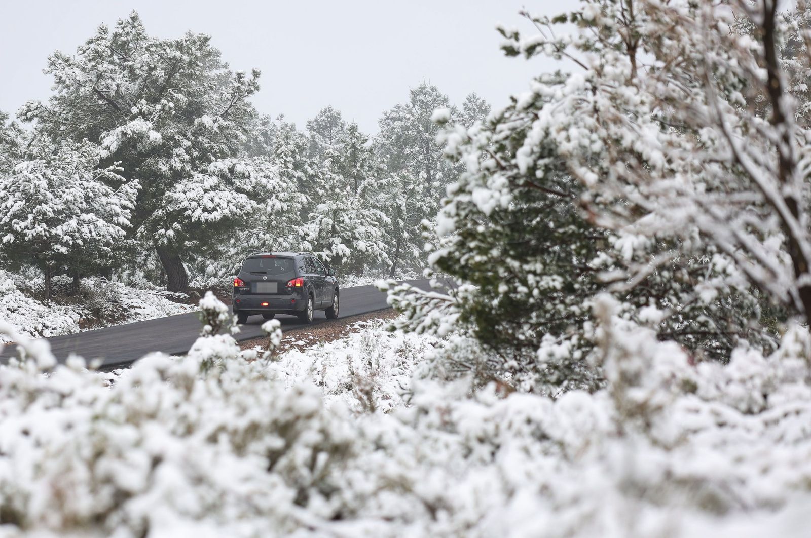 Nieve en el sur de Salamanca. ICAL VICENTE (8)