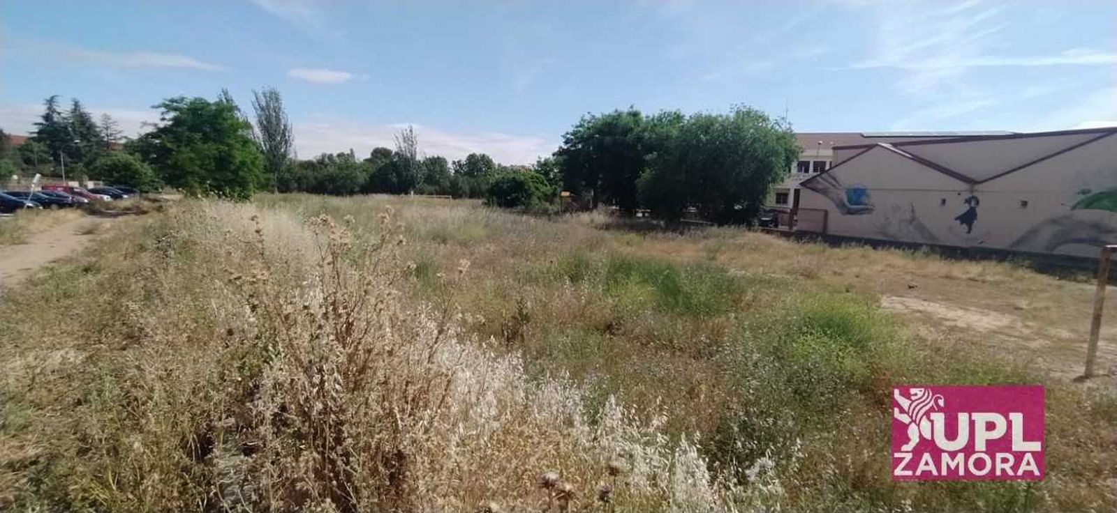 Advierten del peligro de incendio del campo contiguo a este colegio de Zamora capital