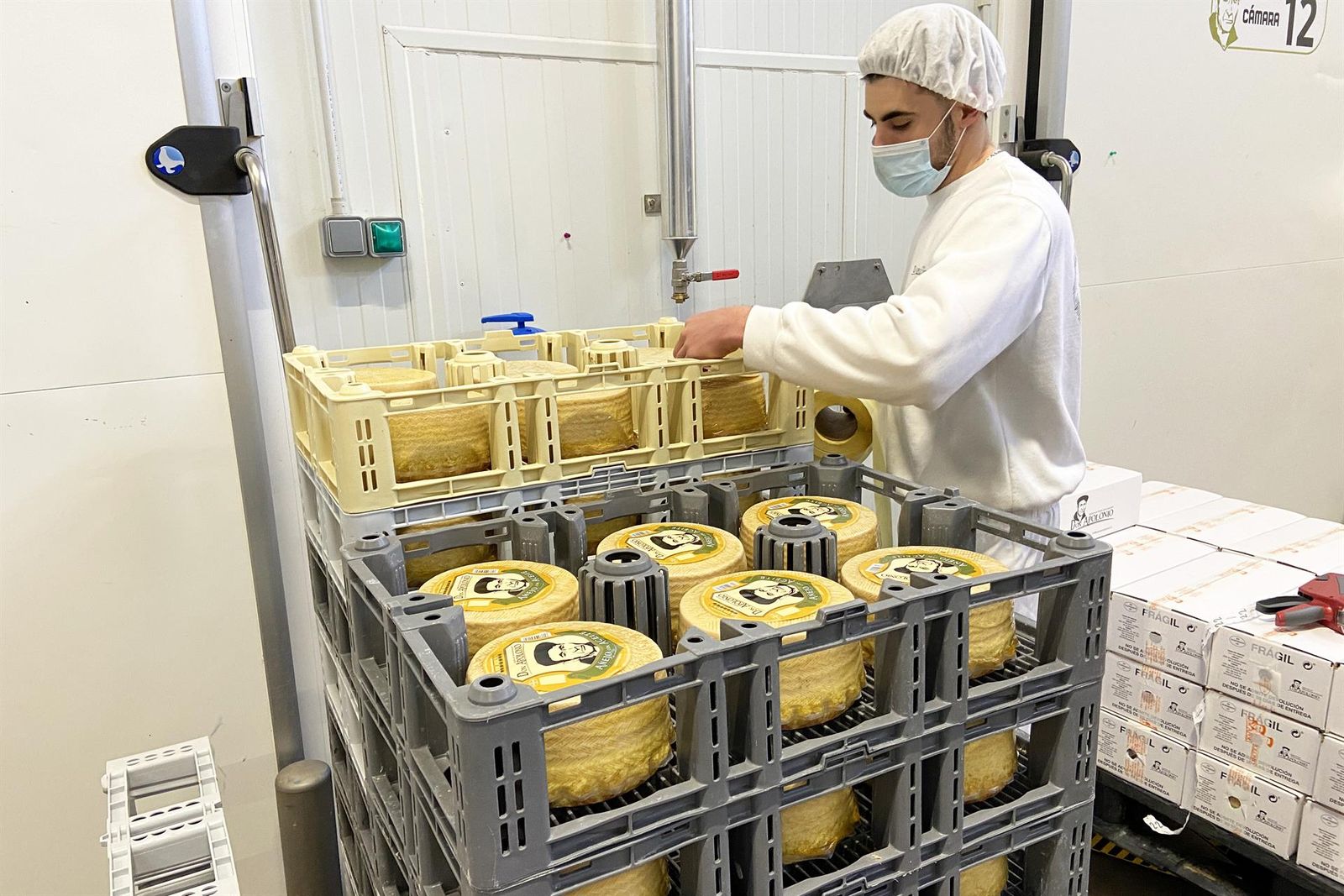 Un operario pone etiquetas al queso en la fábrica Don Apolonio en Malagón, Ciudad Real , Castilla La Mancha (España), a 26 de marzo de 2021.   Patricia Galiana   Europa Press   Archivo