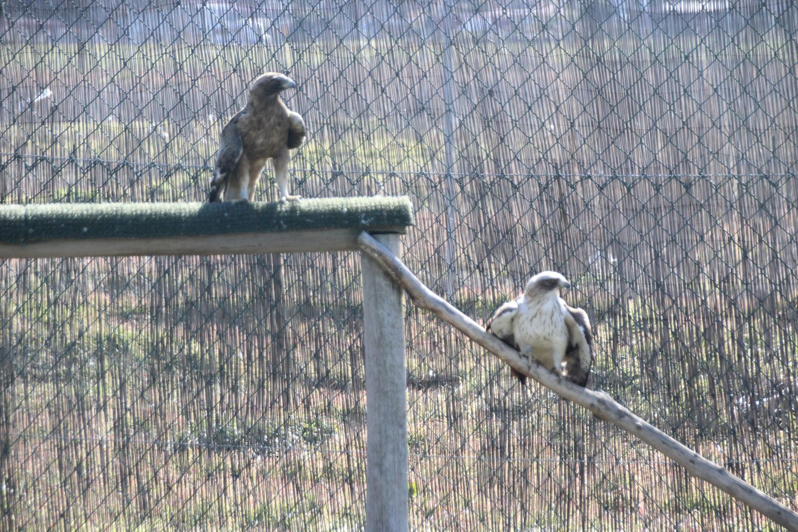 20230304151758-img-1664