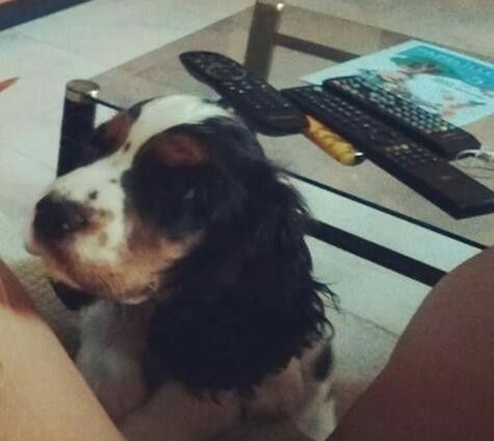 WhatsApp Image 2019 04 18 at 22.15.05