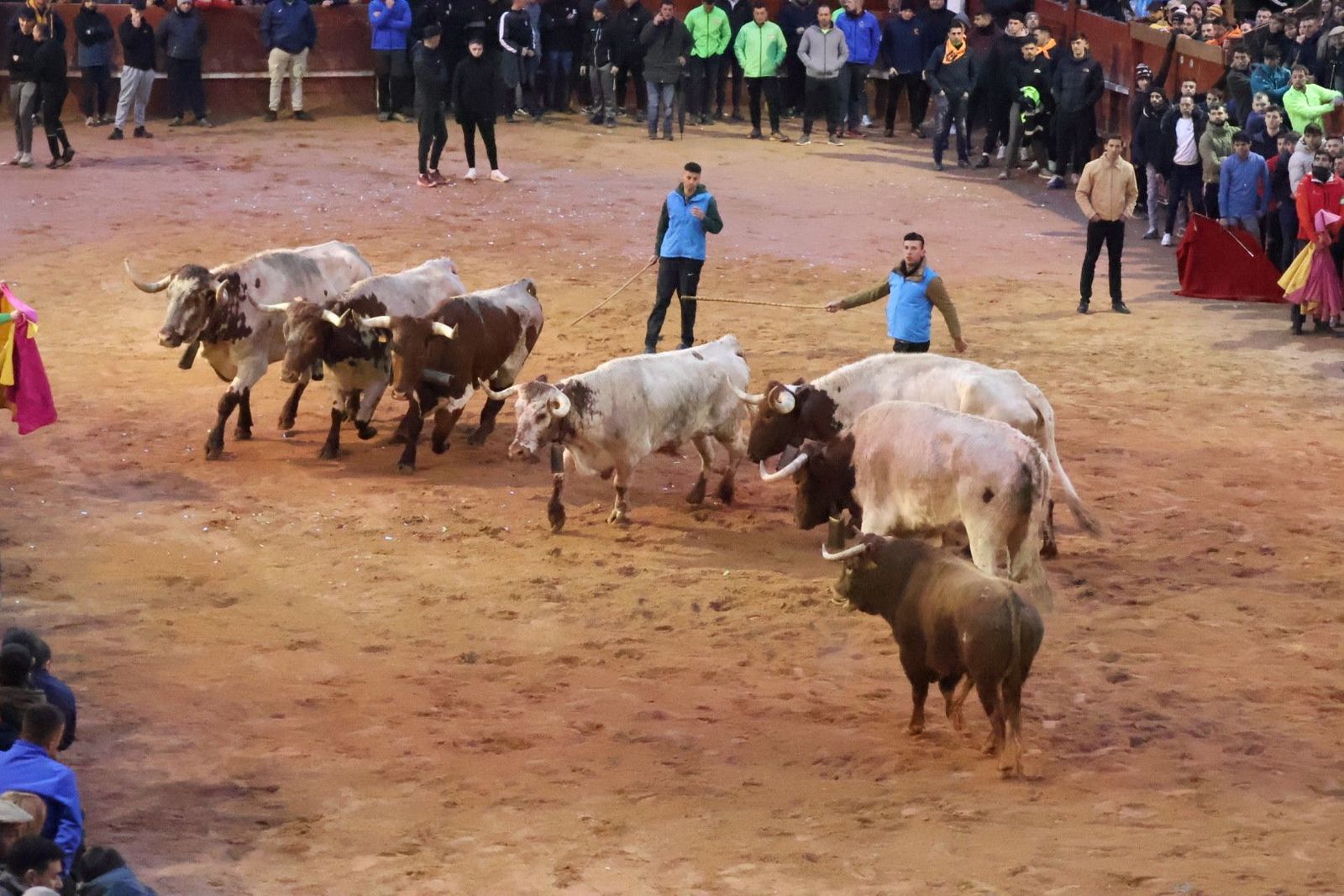 Capea vespertina Lunes de Carnaval en Ciudad Rodrigo