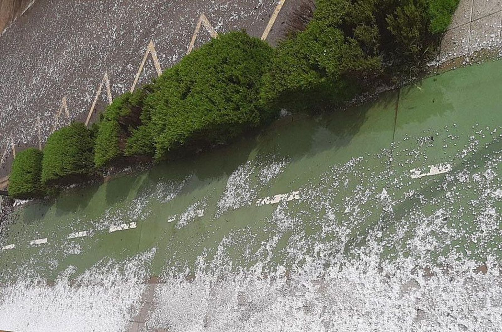 WhatsApp Image 2020 05 07 at 19.15.15