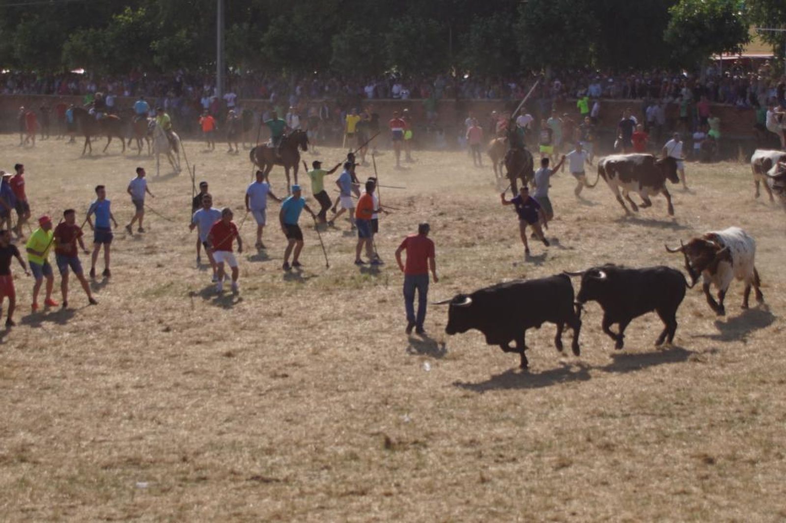 espantes-de-fuentesauco-27