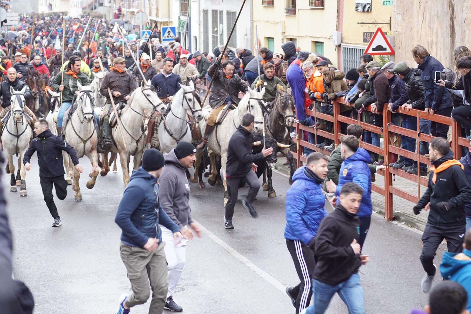 whatsapp-image-2024-02-11-at-11-48-43