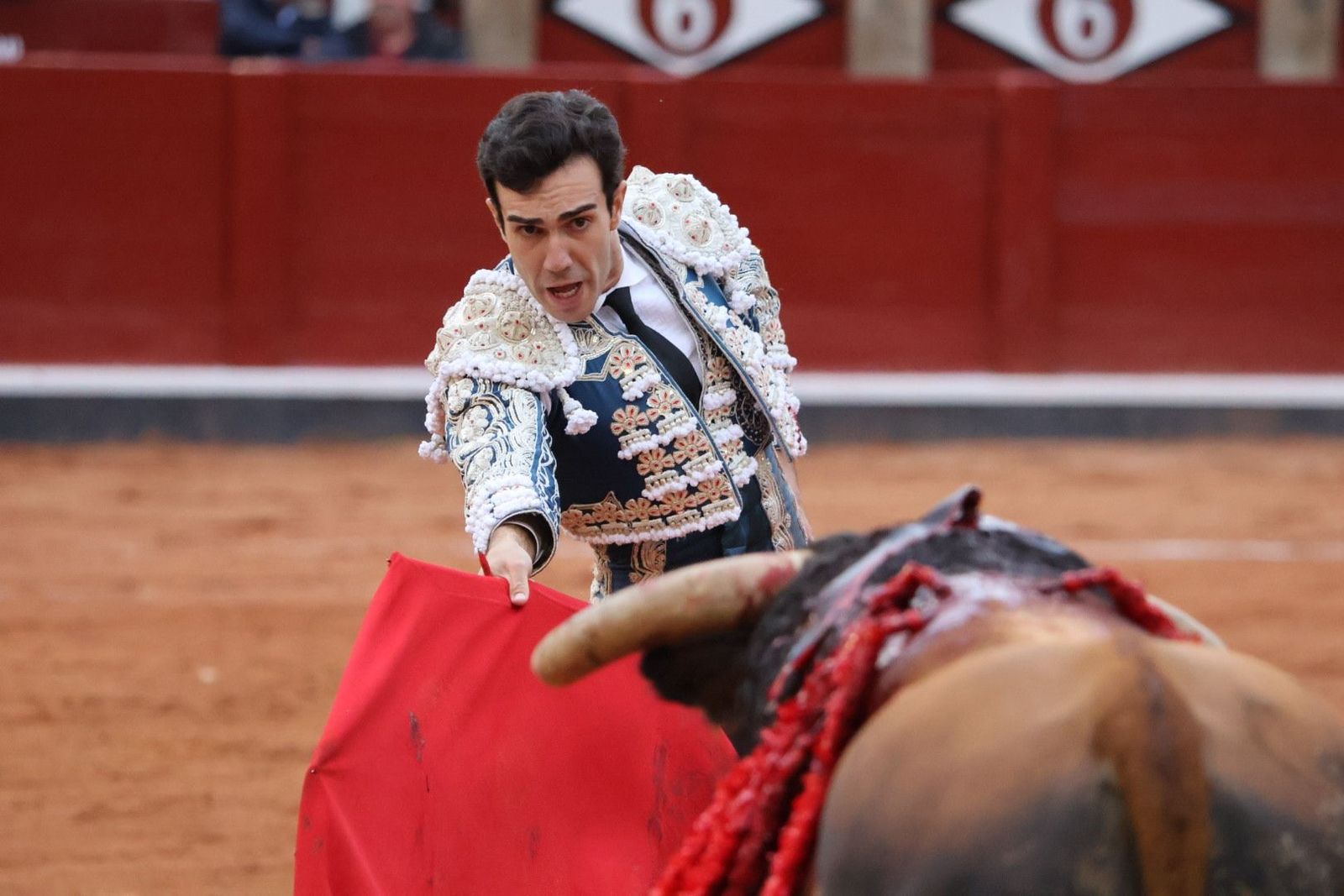 20230916190723-img-5654