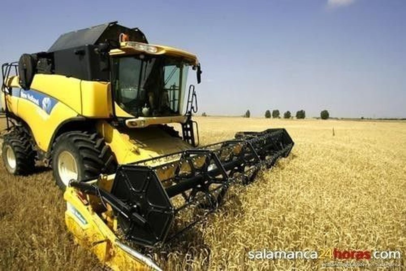 La estabilidad del precio del cereal marca una nueva sesión de la Lonja