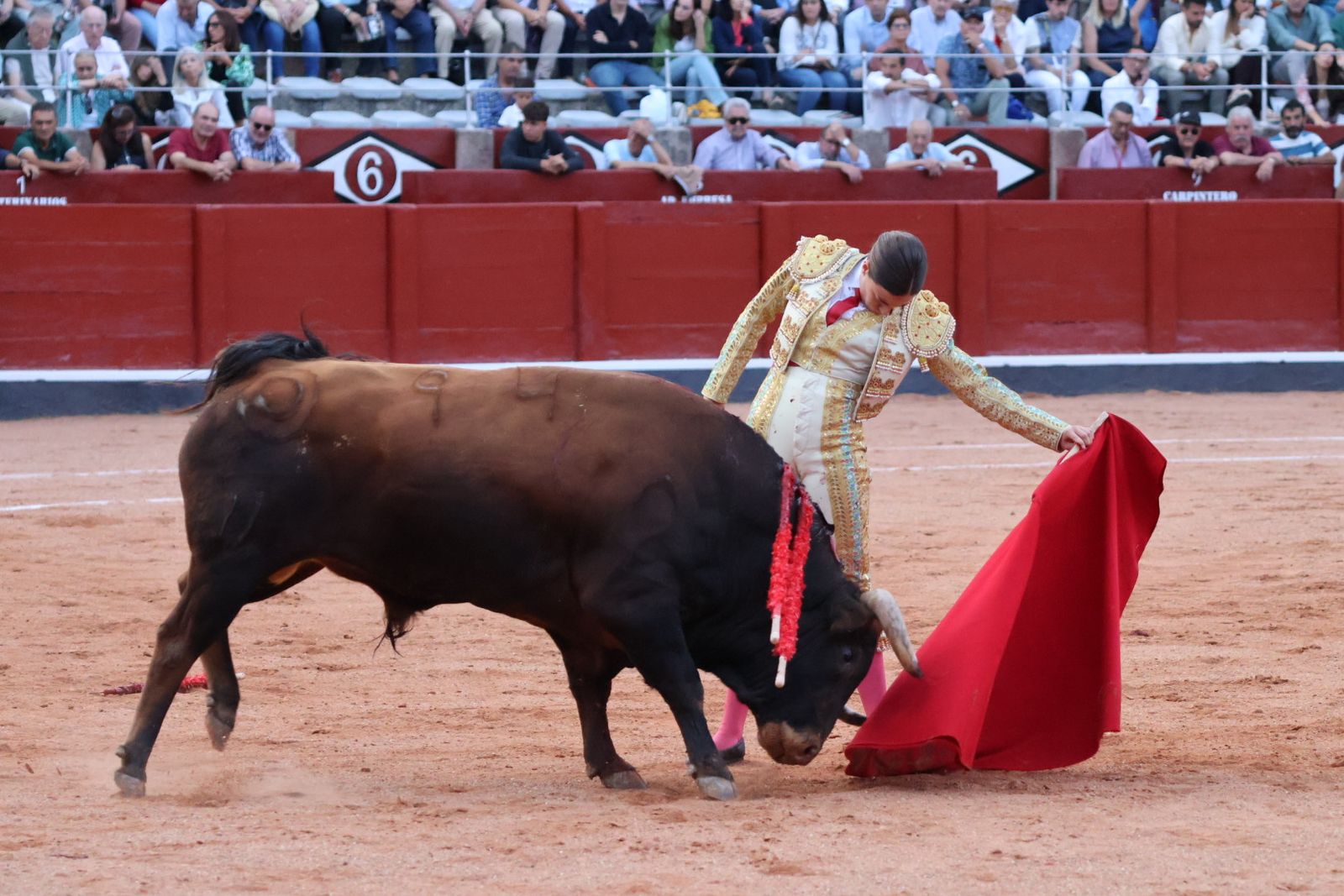 La Glorieta revive el aroma de la feria taurina con el primer festejo: Lea Vicens, Raquel Martín y Olga Casado