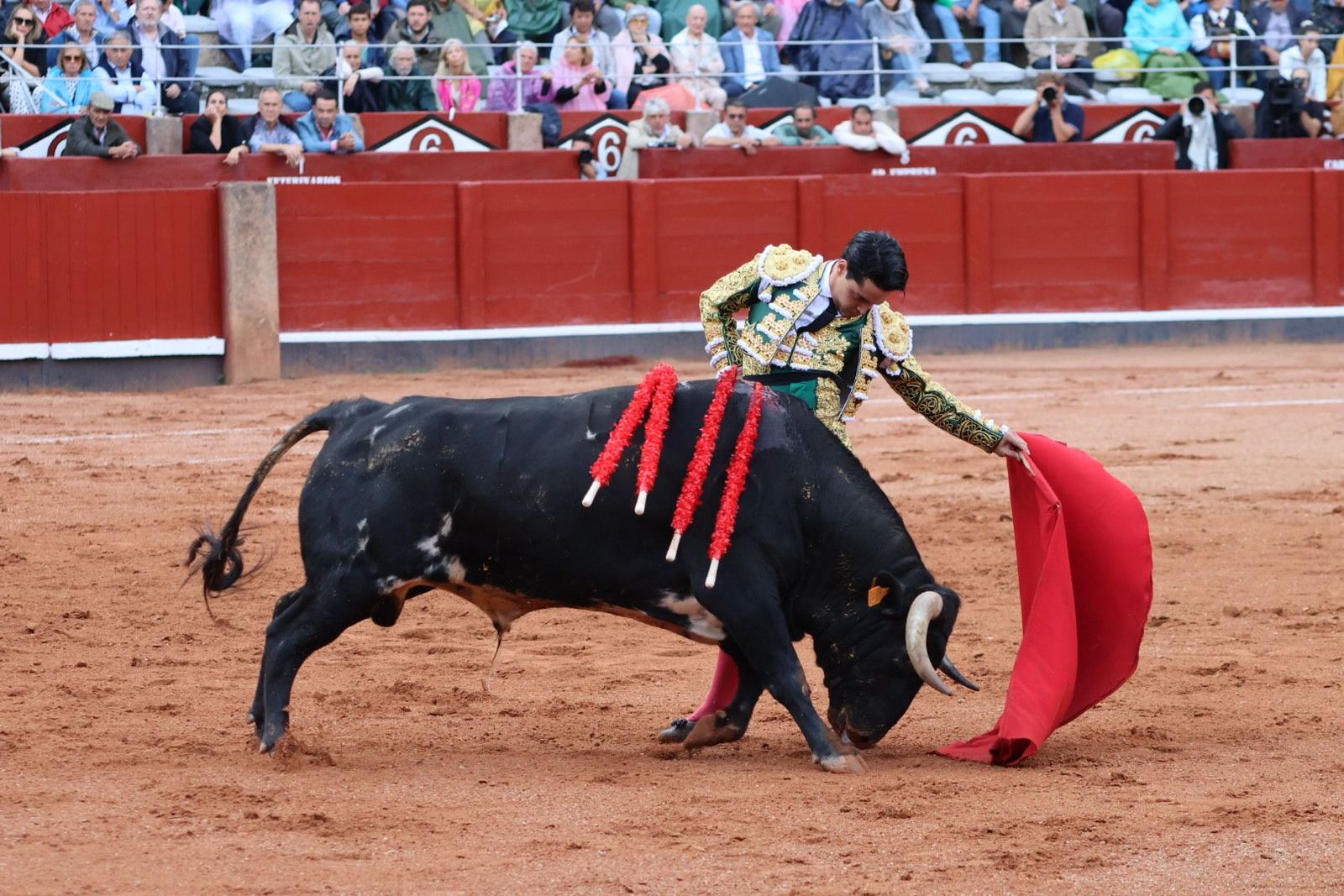 20230915180749-img-4067