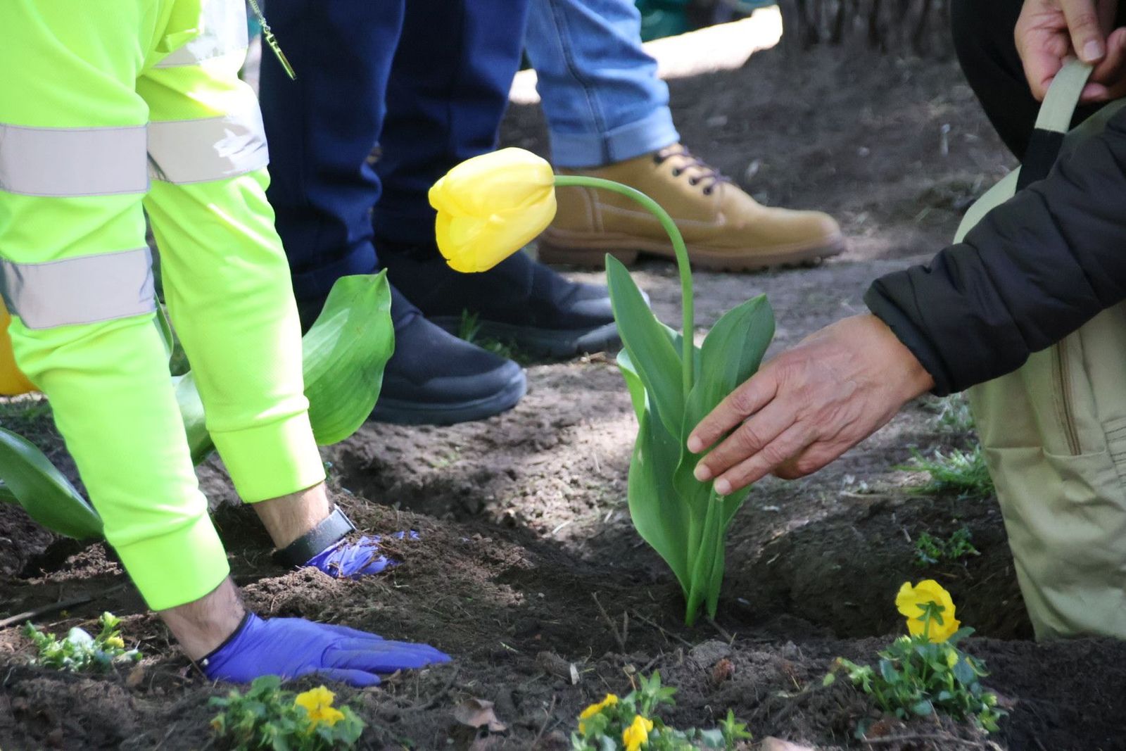 20240410121303-img-7398