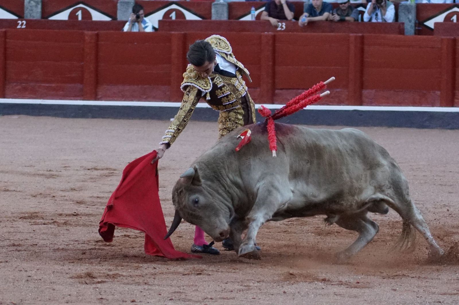 Clase práctica con alumnos de la Escuela de Tauromaquia de Salamanca (Diego Mateos, Noel García y Álvaro Rojo con erales de Esteban Isidro)