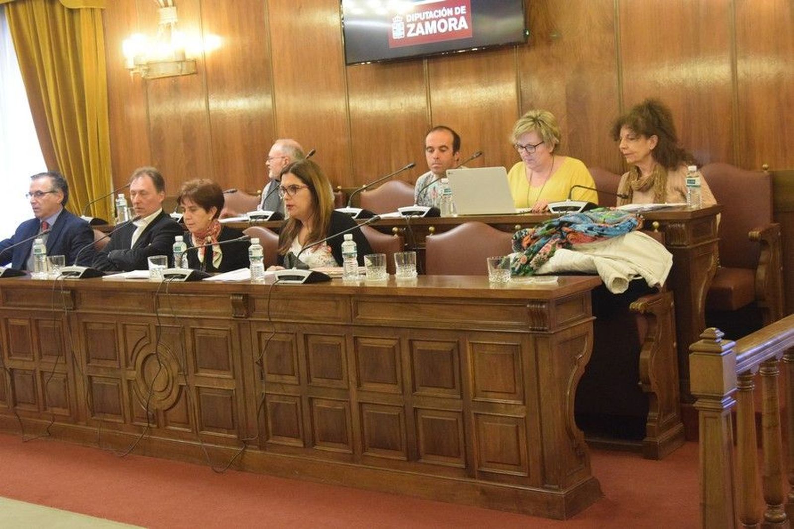 Pleno diputacion 12 04 19 (4)