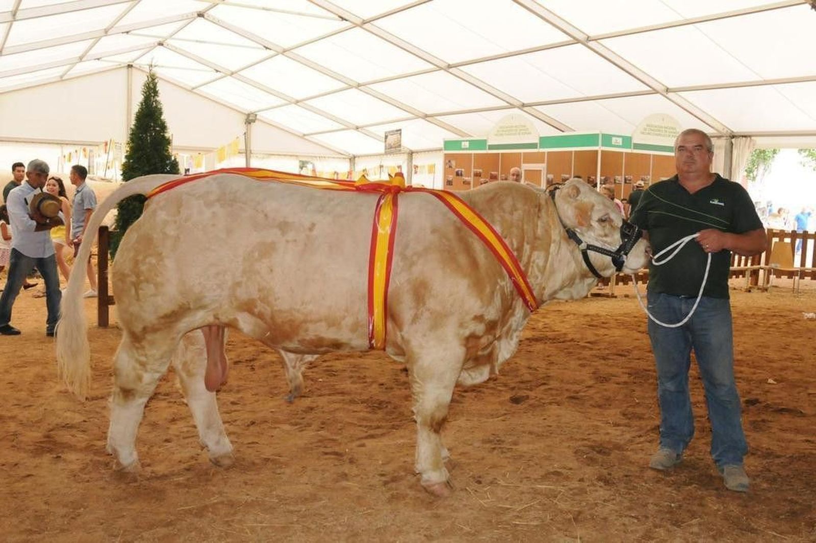La Unión de Criadores de Ganado Charolés,  a la vanguardia de la genética mundial
