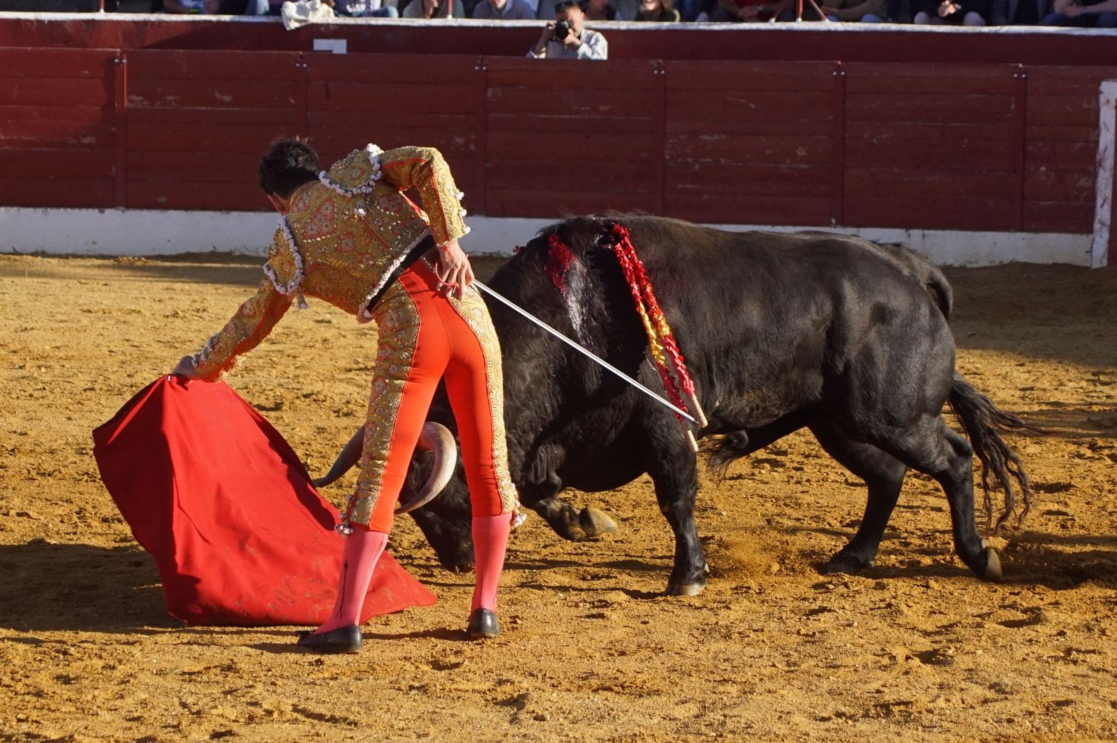 novillada-con-picadores-en-villoria-89