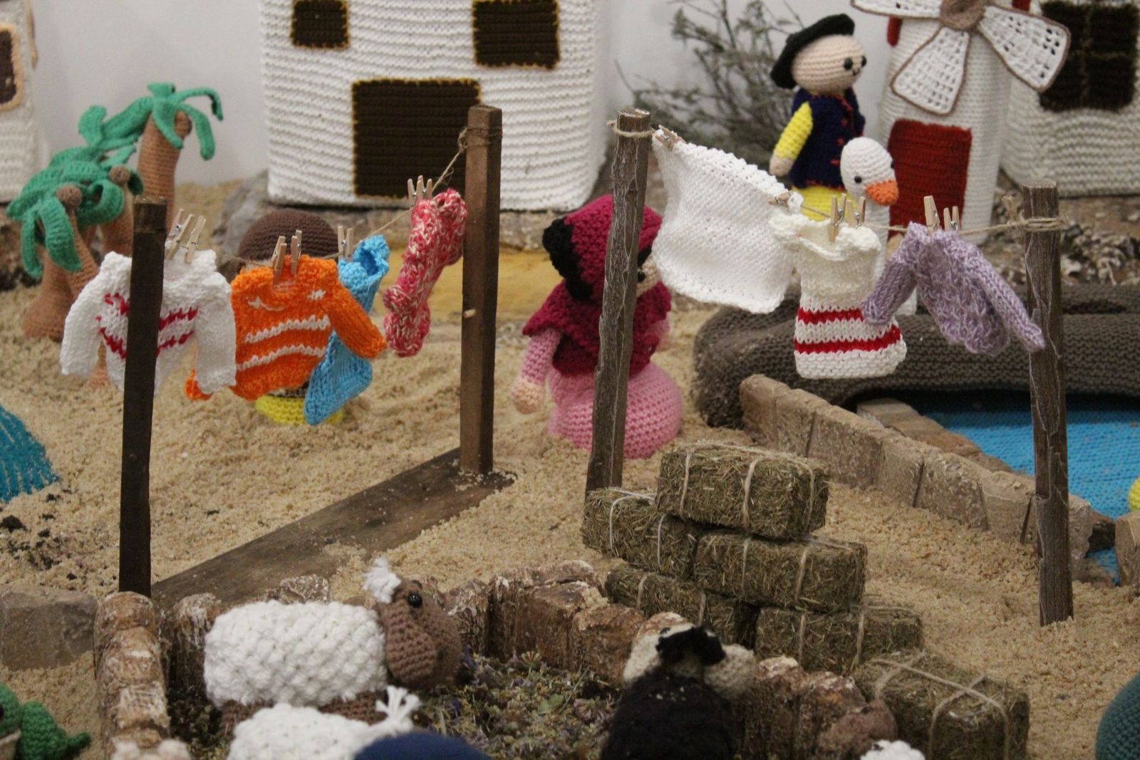 20231205185519-img-6578