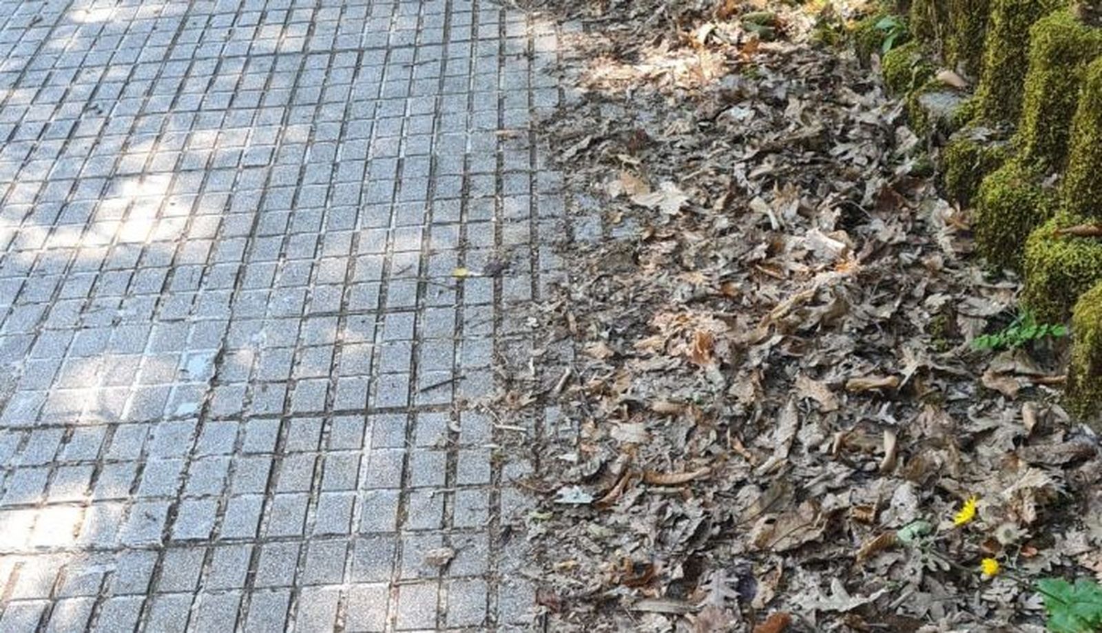 Imagen de WhatsApp 2024 06 14 a las 13.20.43 08f97817