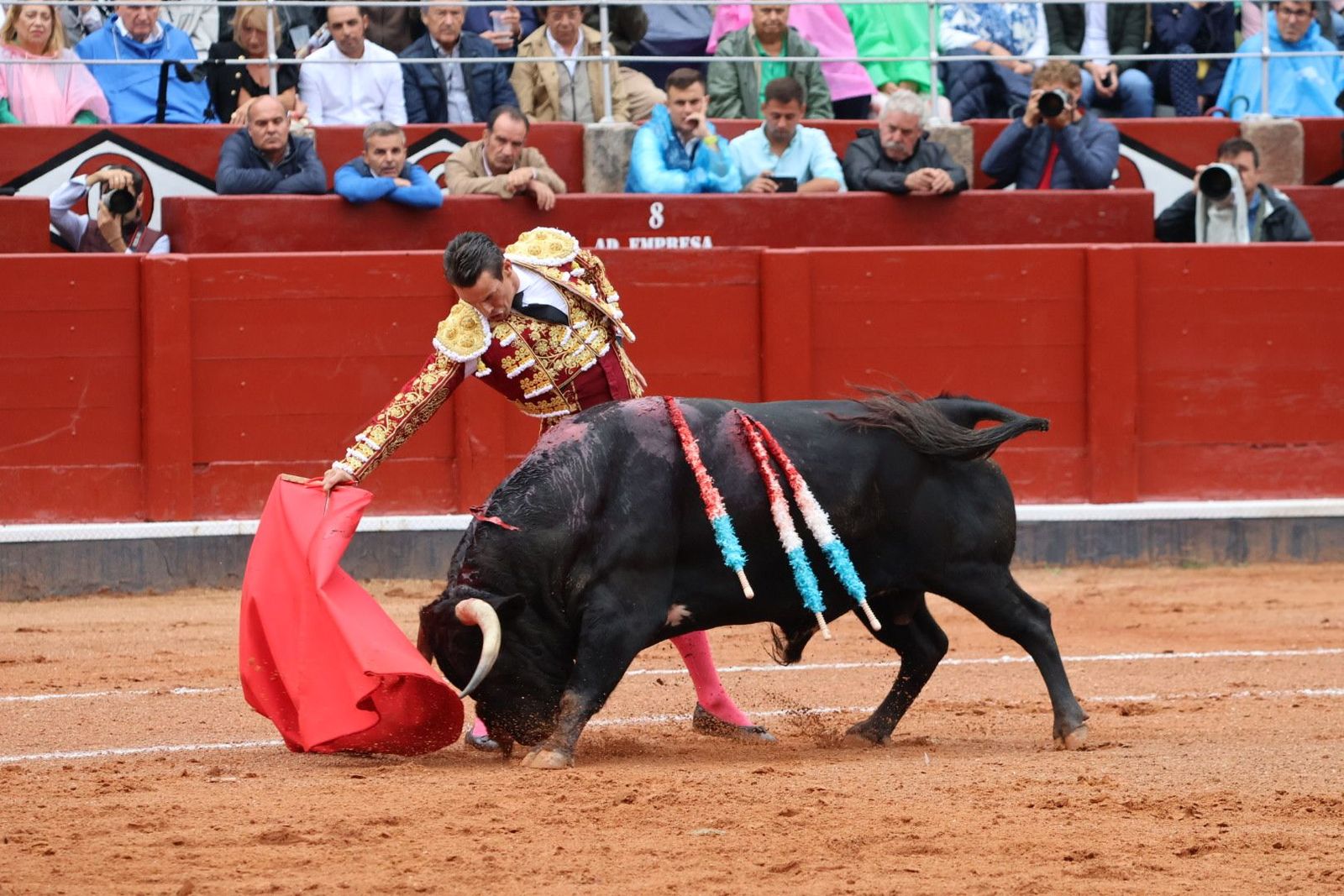 20230916174051-img-5333