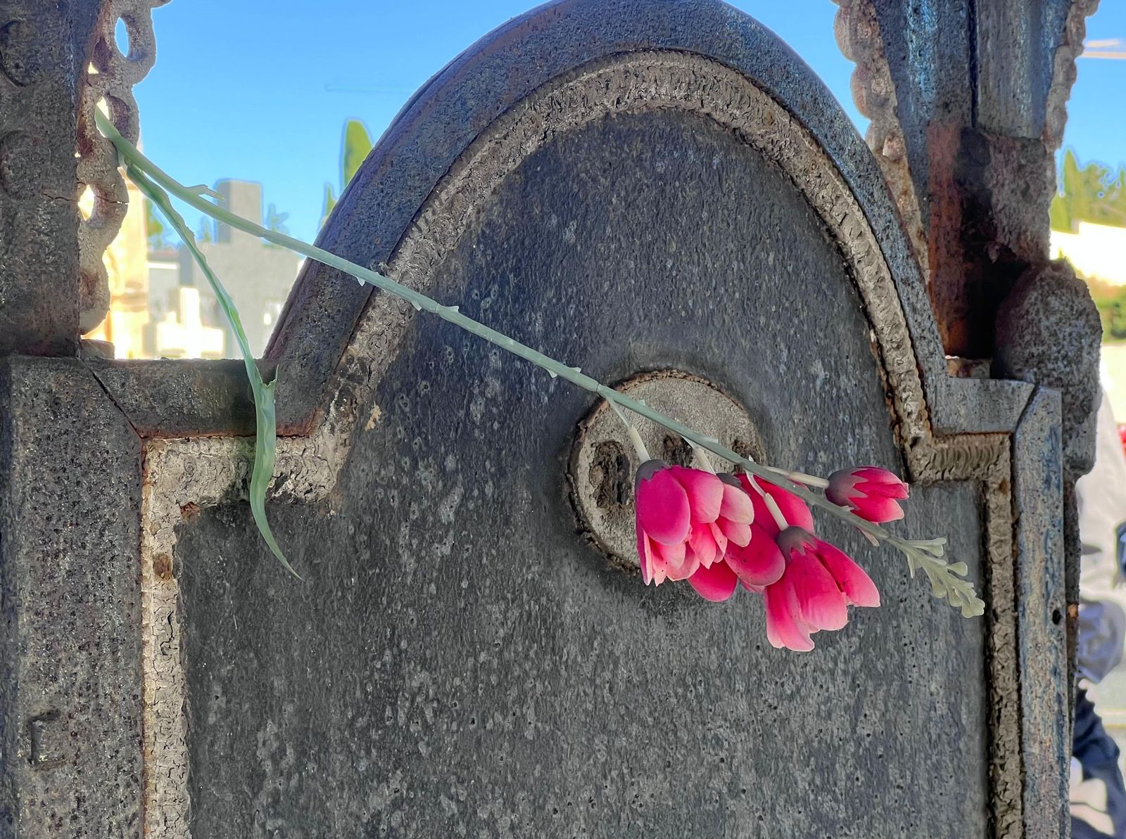Visita guiada al cementerio de Salamanca
