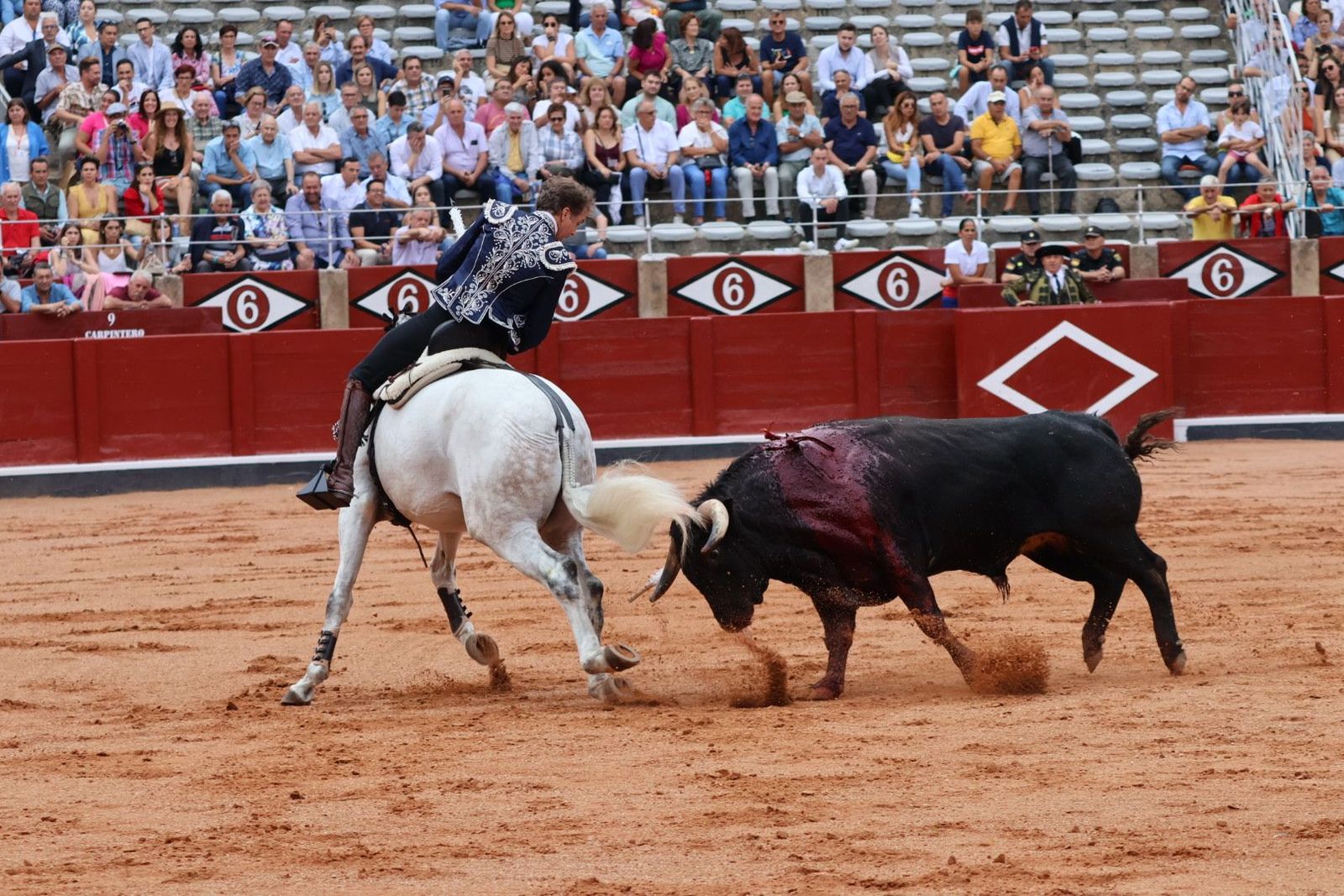 20230909172202-img-0433