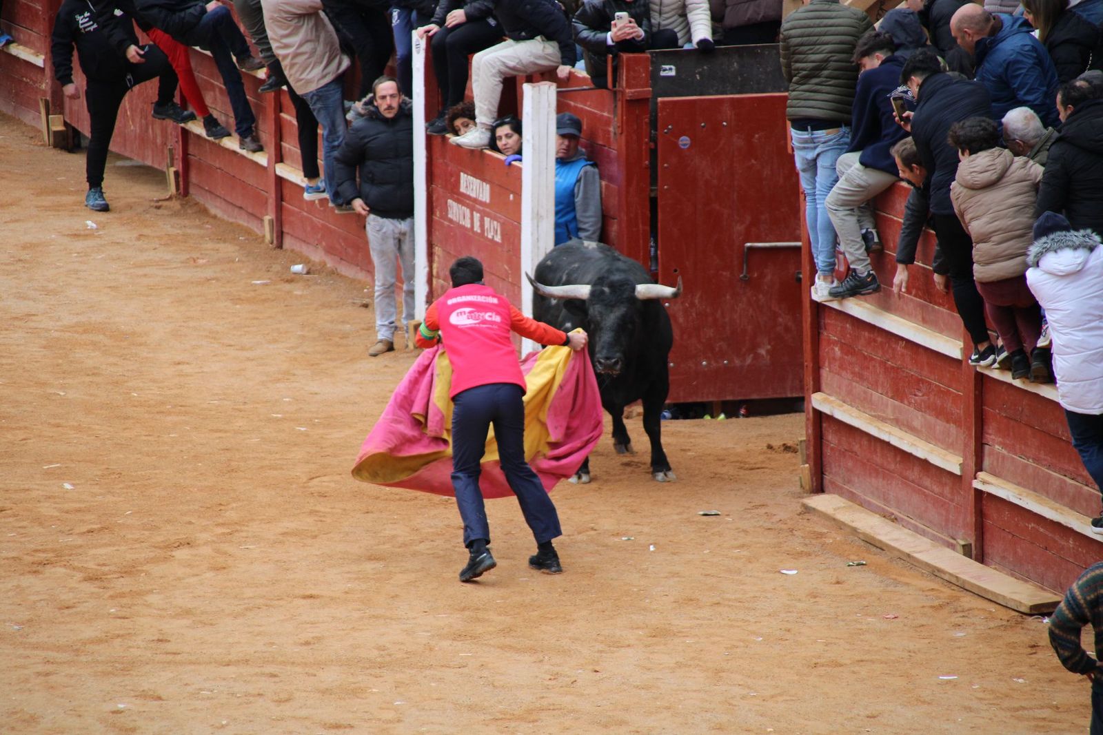 whatsapp-image-2025-03-01-at-13-18-38-2