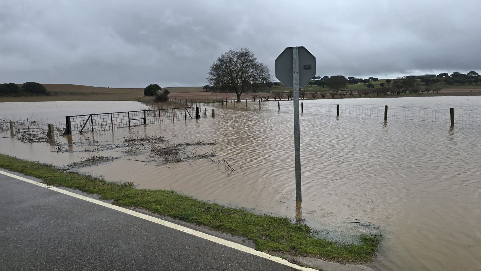 DSA 310, Carretera de Matilla inundada (1).jpeg