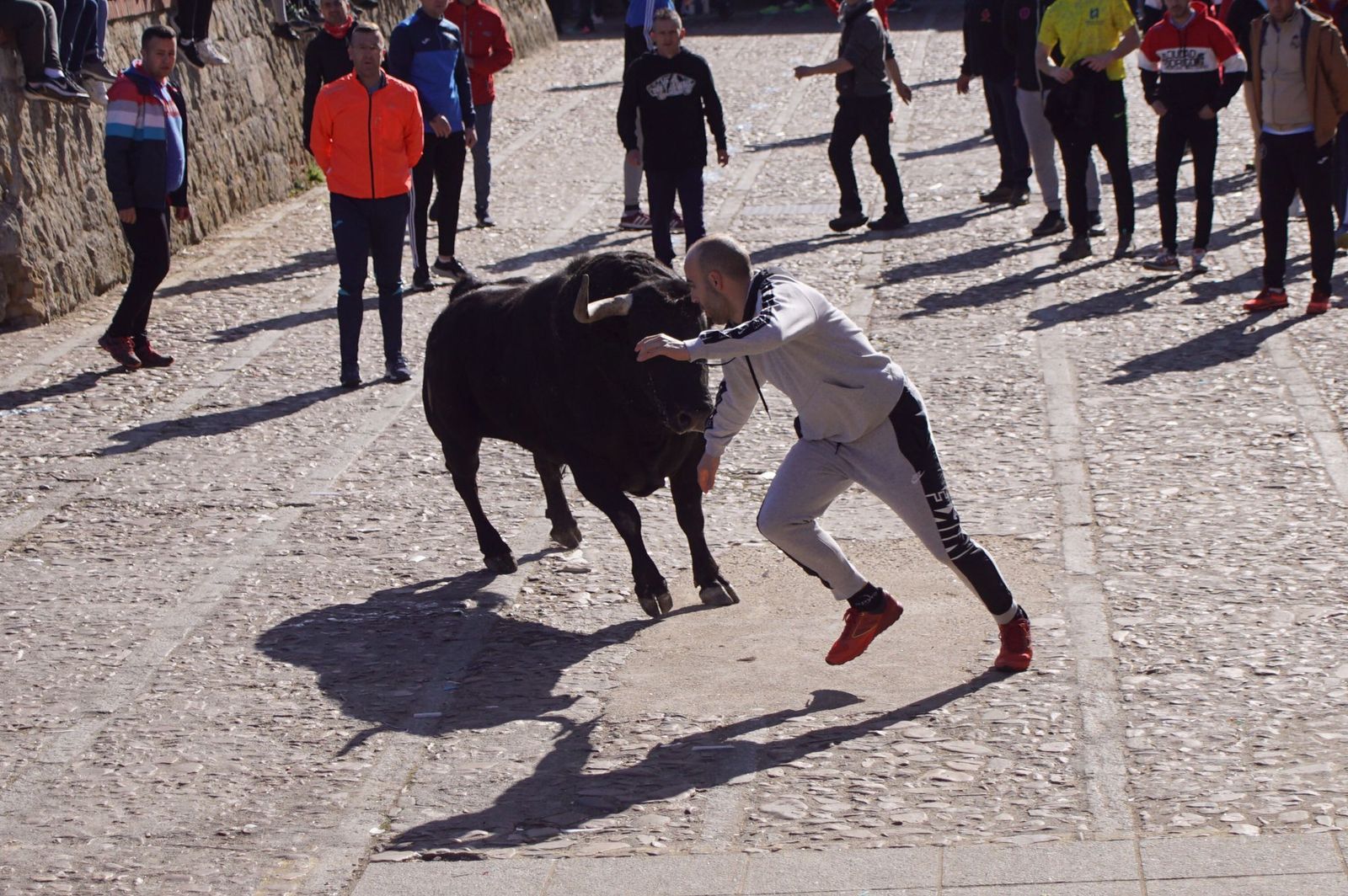 encierro-capea-y-ambiente-en-ciudad-rodrigo-en-este-lunes-de-carnaval-45